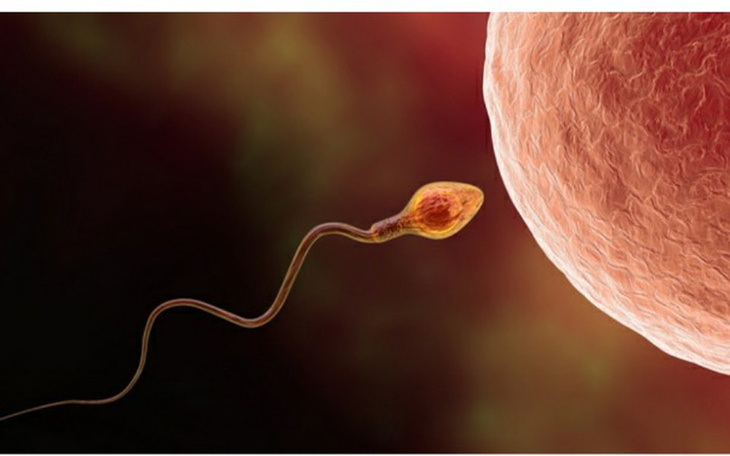 Zbiórka Leczenie niepłodności idiopat. - zdjęcie główne