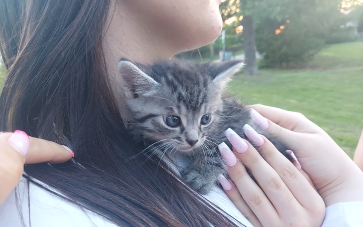 Zbiórka Dla kolejnych maluszków. - zdjęcie główne