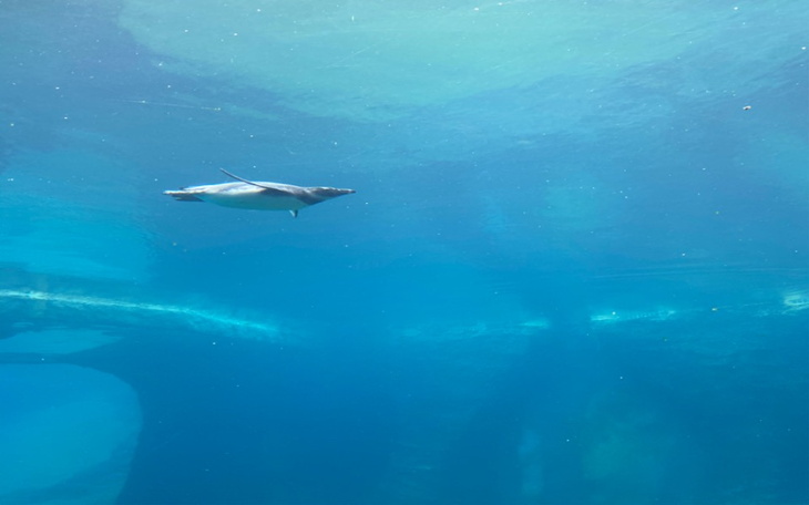 Zbiórka Wakacje dla calutkiej rodzinki - zdjęcie główne