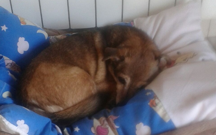 Zbiórka Leczymy Nikusia - zdjęcie główne