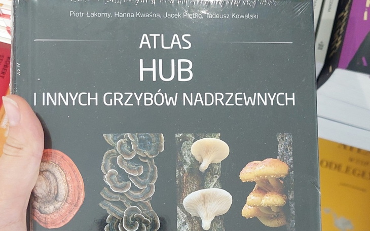 Zbiórka Na atlas Hub - zdjęcie główne