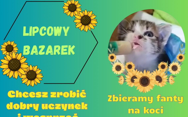 Zbiórka Lipcowy Bazarek - zdjęcie główne