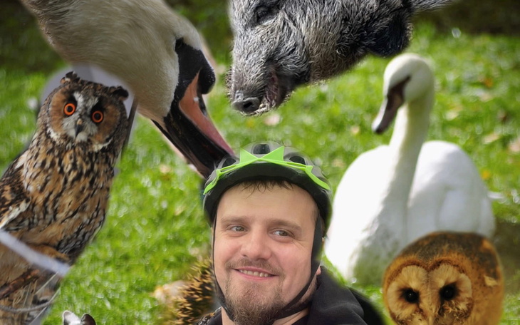 Kolaż z wizerunkiem mężczyzny i różnych zwierząt.