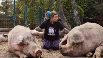 Zbiórka Miesiąc wsparcia dla Gieniutkowa - miniaturka zdjęcia