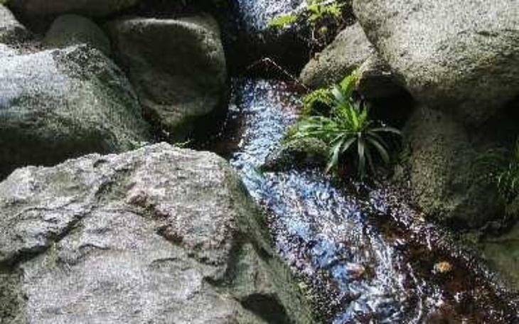 Zbiórka Na start w lepszym życiu - zdjęcie główne