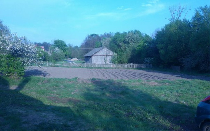 Zbiórka Azyl dla małych zwierząt - zdjęcie główne