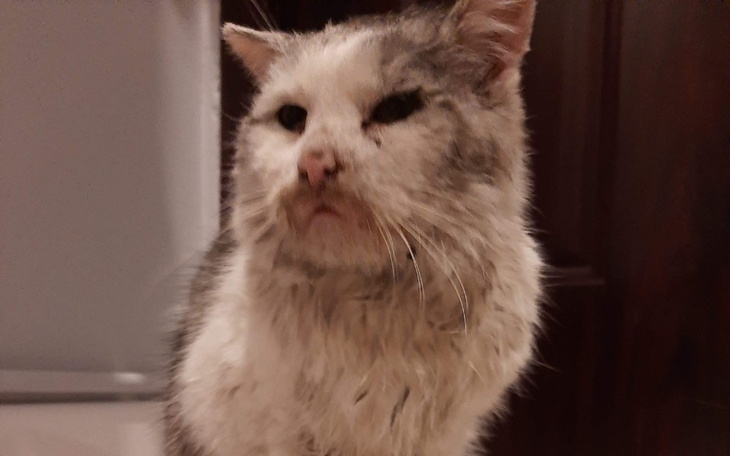 Zbiórka Na leczenie Dośka ze Strzelina - zdjęcie główne