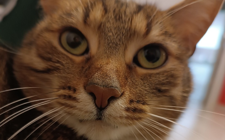 Zbiórka Na komputer do spraw prywatnych - zdjęcie główne