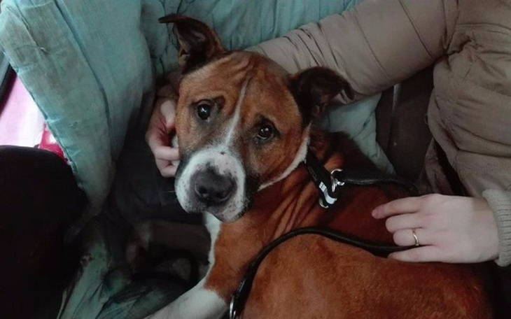 Zbiórka Zbiórka dla Dżordża - zdjęcie główne