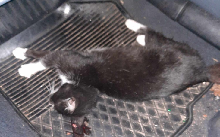 Zbiórka Dla naszych bied - zdjęcie główne