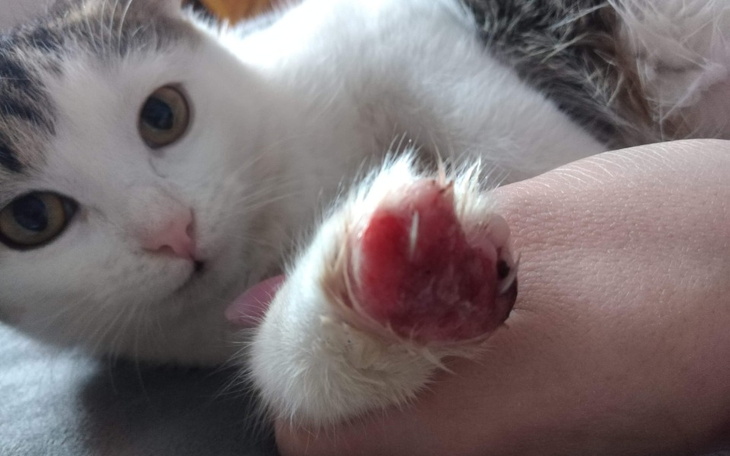 Zbiórka Leczyć - Ale za co - zdjęcie główne