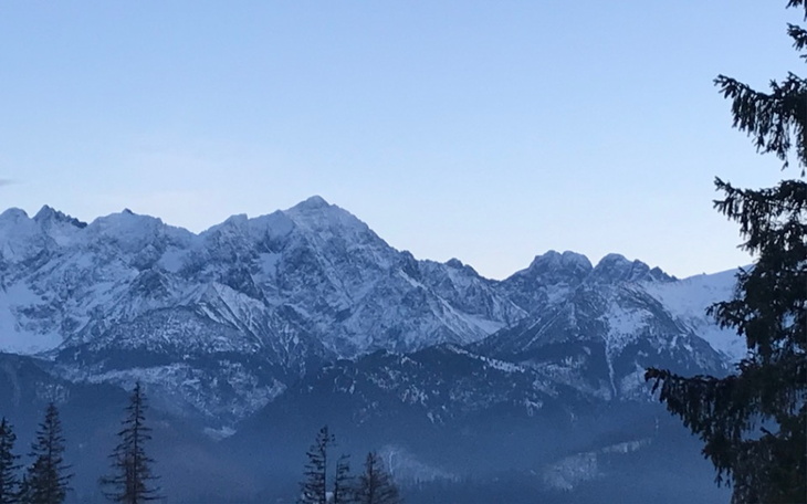 Zbiórka Jedzonko karma dla psa - zdjęcie główne