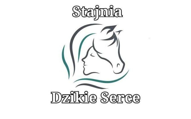 Zbiórka Dzikie Serce - aby nieść pomoc - zdjęcie główne