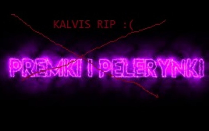 Zbiórka Dla Kalvisa bo nie poscamuje juz - zdjęcie główne