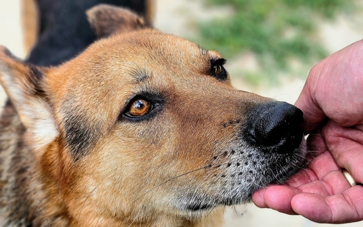 Zbiórka Hyzio - Życie bez bólu - zdjęcie główne