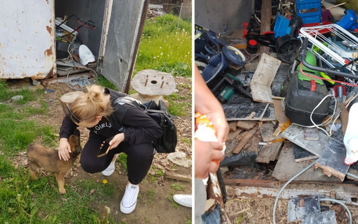 Zbiórka Odebraliśmy Muńka - wesprzyj - zdjęcie główne