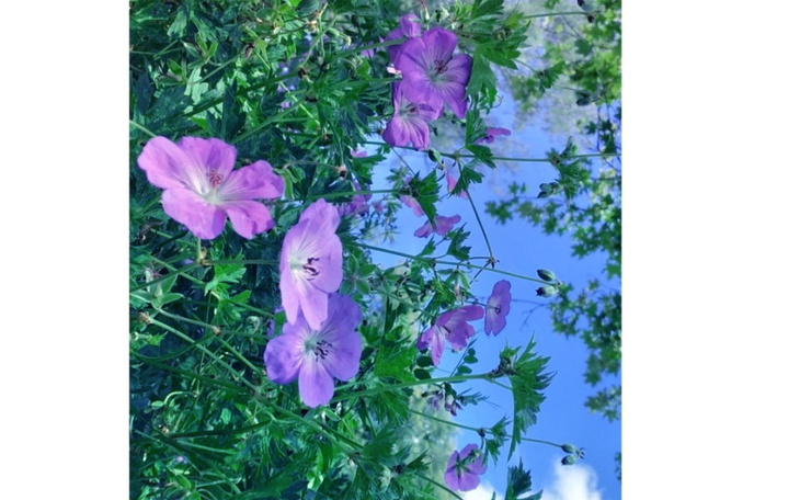 Zbiórka ku marzeniom - zdjęcie główne