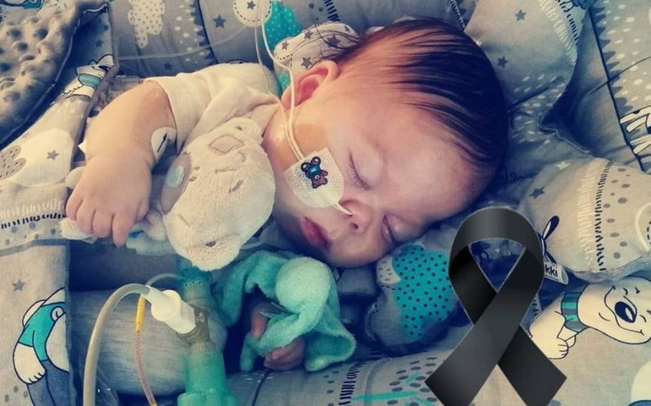 Zbiórka Powrót Colina do Polski - zdjęcie główne