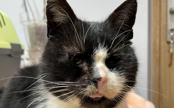 Zbiórka Leczenie bezdomnego seniora - zdjęcie główne