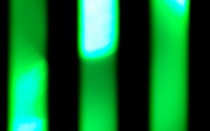 Zbiórka Na prezent dla siostrzyczki - zdjęcie główne