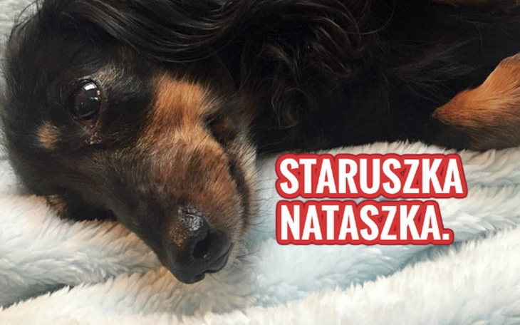 Zbiórka Staruszka Nataszka prosi o pomoc - zdjęcie główne