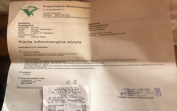 Zbiórka Leczenie szczurka - zdjęcie główne