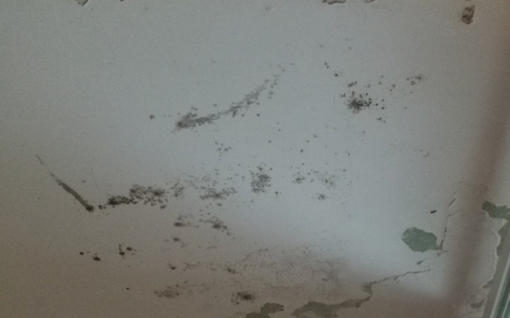 Zbiórka Remont domu babuni Gieni - zdjęcie główne