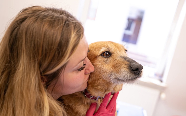 Kobieta całująca psa w gabinecie weterynaryjnym.