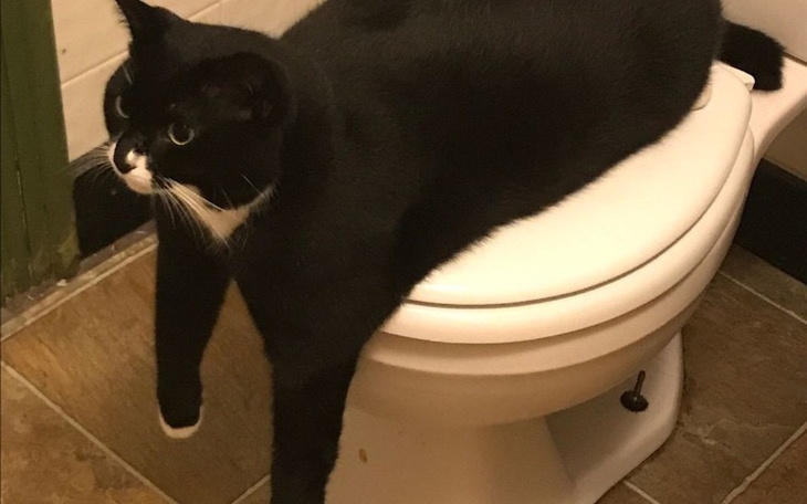 Zbiórka Zarcie dla studentów - zdjęcie główne