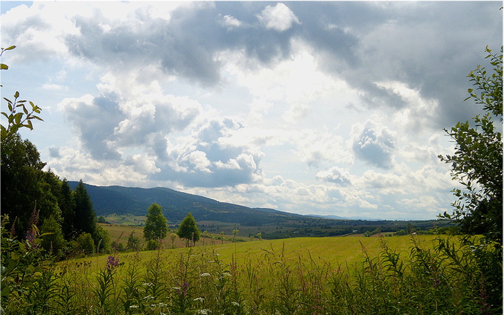 Zbiórka Pomóż nam ukończyć projekt. - zdjęcie główne
