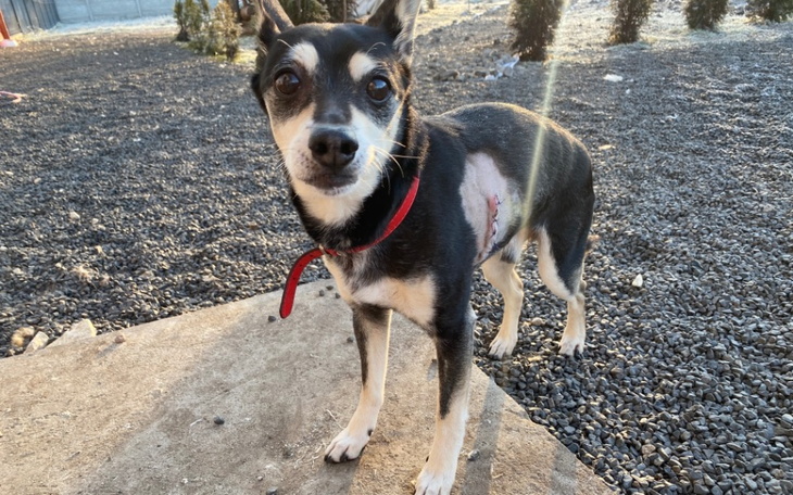 Zbiórka Pomoc dla Marvina - zdjęcie główne