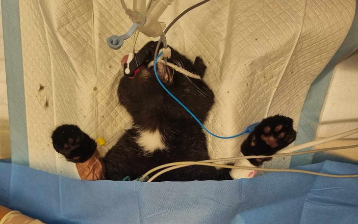 Zbiórka Dior - 15 lat poniewierki - zdjęcie główne