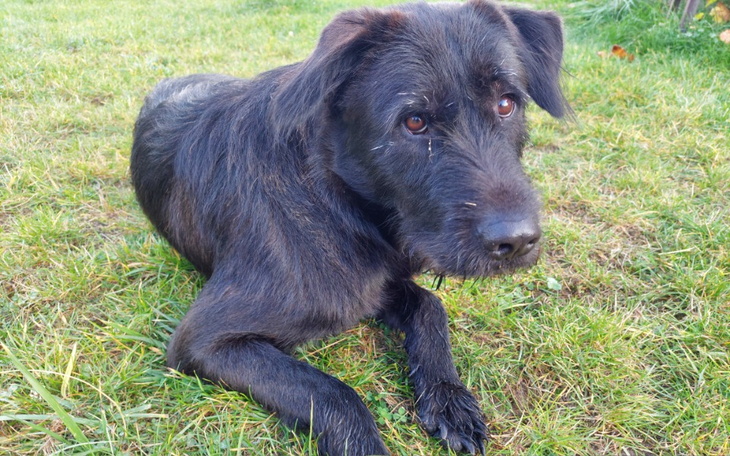 Zbiórka Jesienna bezdomność - zdjęcie główne