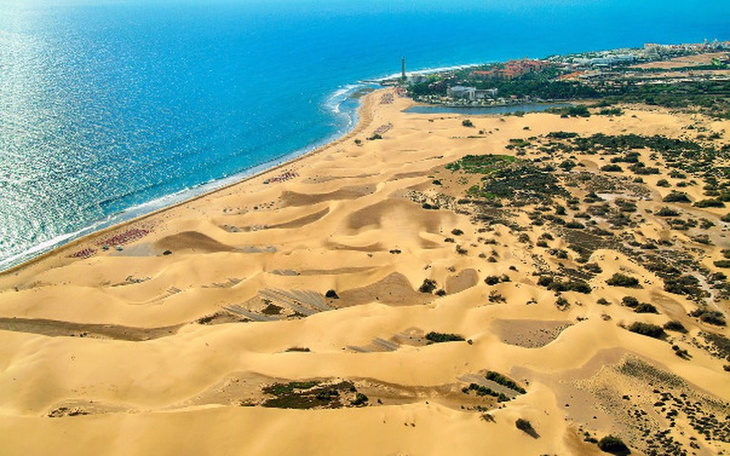 Zbiórka Wymarzona rocznica - zdjęcie główne