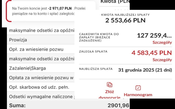 Zrzut ekranu z informacjami o płatnościach i zadłużeniu.