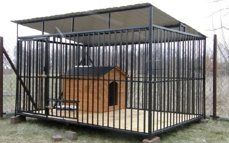 Zbiórka Kojec dla Zwierzęcej Misji - zdjęcie główne