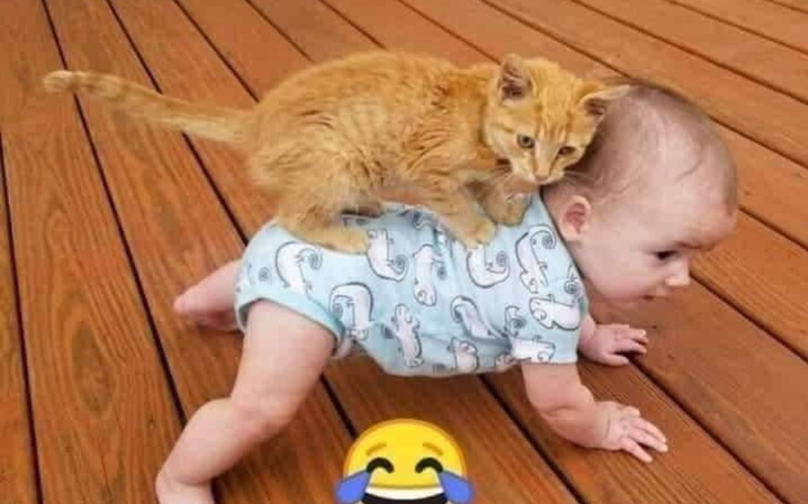 Zbiórka Transport dla bezdomniaków . - zdjęcie główne