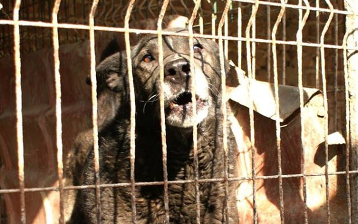 Zbiórka Podobno grozi nam eksmisja... - zdjęcie główne