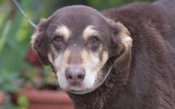 Zbiórka Hotelik Xsary za maj, czerwiec - zdjęcie główne