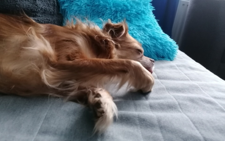 Zbiórka Pomóż mi, ból wygina moje ciało - zdjęcie główne