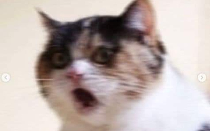 Zbiórka Fotograficzny aparat - zdjęcie główne