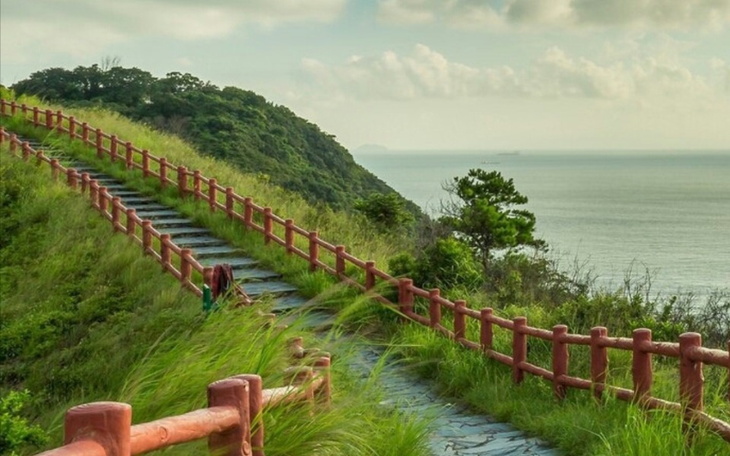 Zbiórka Pomóżmy marzeniom - zdjęcie główne