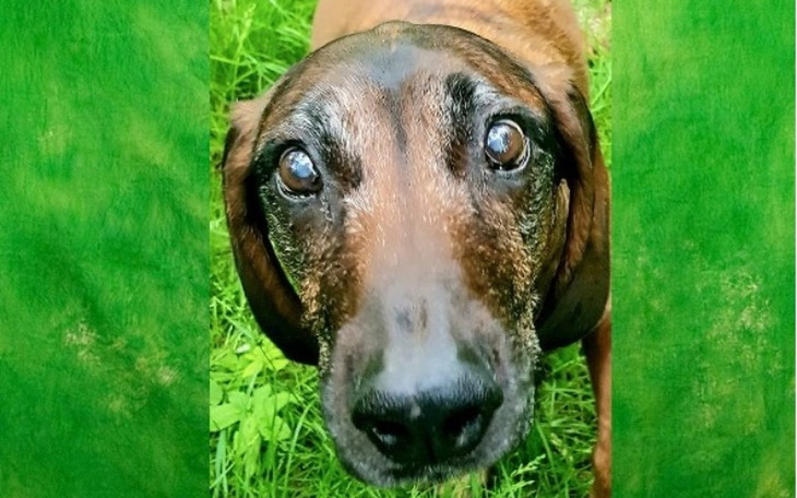 Zbiórka Aron - walka o każdy dzień - zdjęcie główne