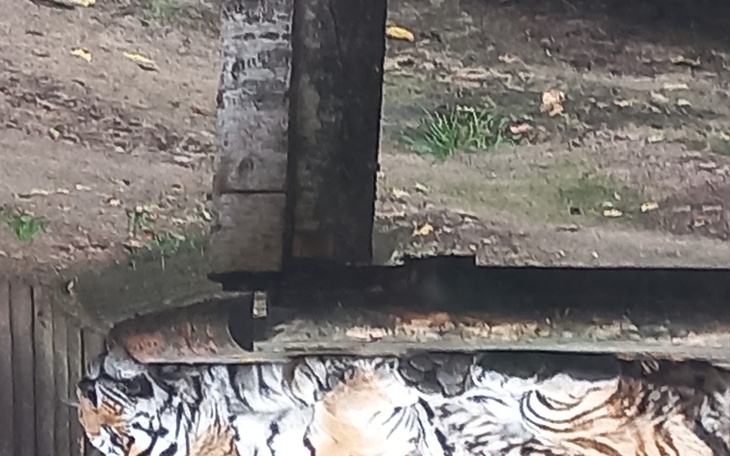 Zbiórka Spłata długów proszę pomusz - zdjęcie główne