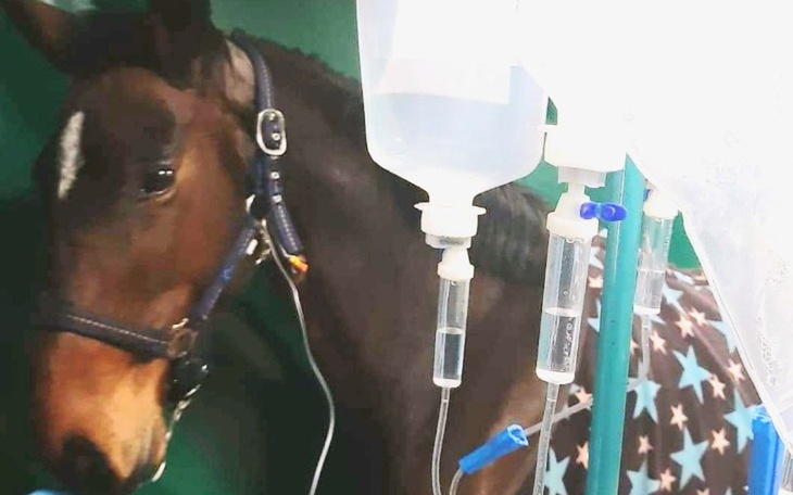 Zbiórka Joksa - ślepa uliczka - zdjęcie główne