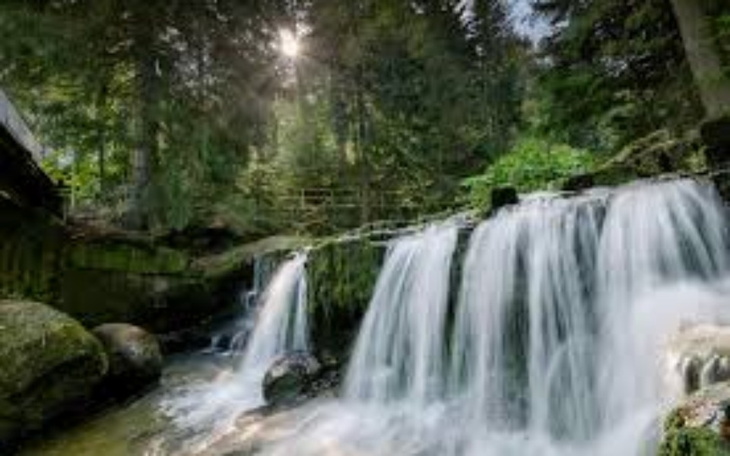 Zbiórka Urlop rodzinny - zdjęcie główne