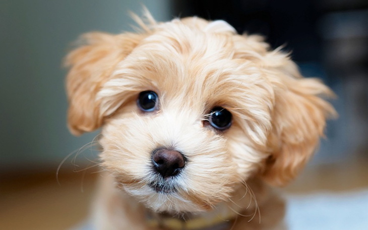 Zbiórka Zbieram na szczęście i pociechę - zdjęcie główne