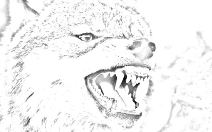 Zbiórka Książka zakonu - zdjęcie główne