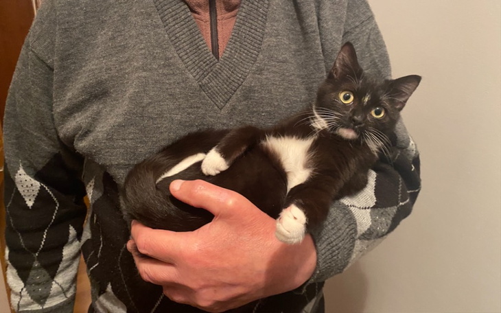 Zbiórka Pomoc Schronisku na Paluchu - zdjęcie główne