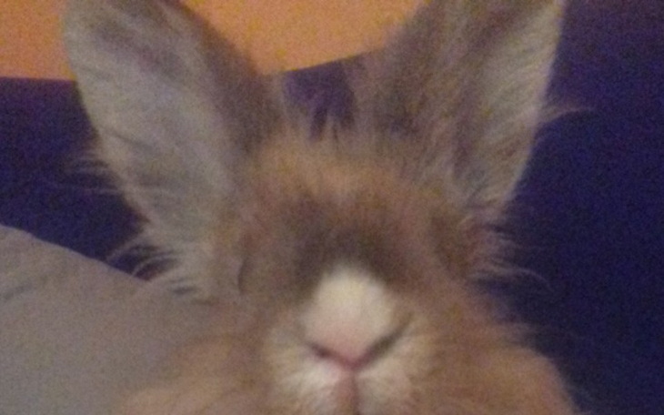 Zbiórka prezent dla dziadków - zdjęcie główne